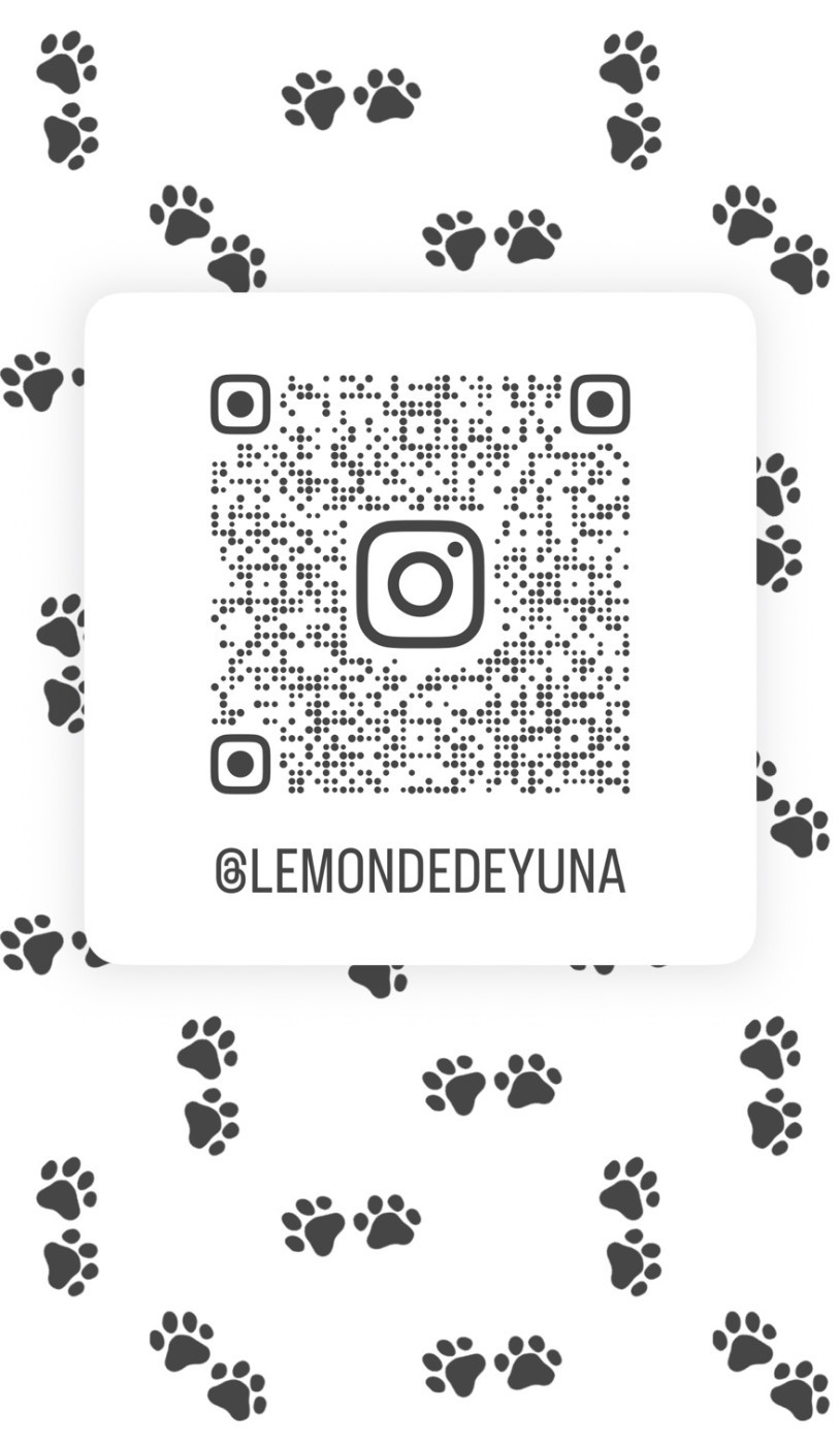 Découvrez notre monde sur Instagram